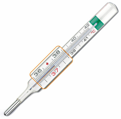 THERMOMÈTRE AU GALLIUM VEDO ECOPLUS (PIC)
